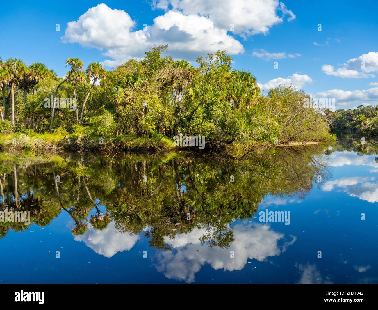 Alberi e nuvole che si riflettono nel fiume Myakka nella riserva delle tartarughe addormentate a Venezia Florida USA Foto Stock