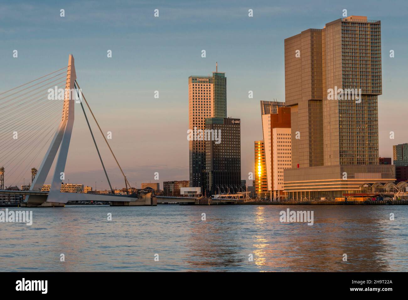 Rotterdam, Stadtteil Kop van Zuid, Erasmusbrug Foto Stock