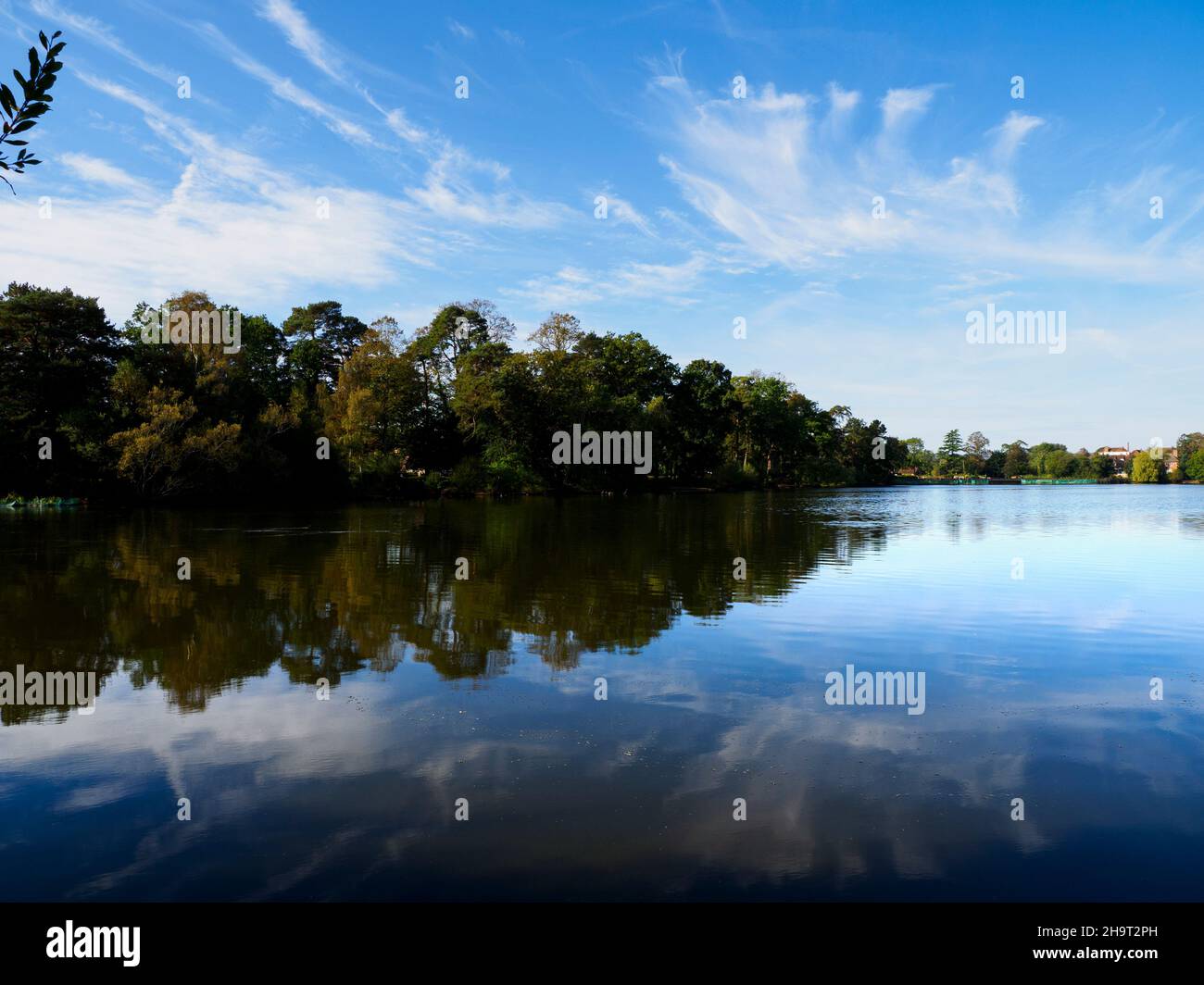 Vista sul lago, Petersfield Heath, Hampshire, Regno Unito Foto Stock