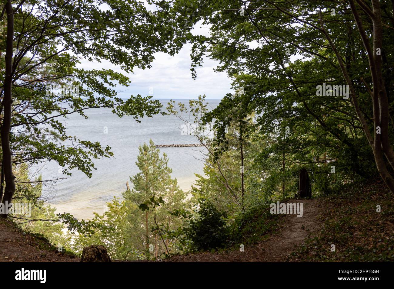 Vista dalla splendida destinazione escursionistica punto panoramico sul Streckelsberg a Koserow, sull'isola di Usedom nel Mar Baltico Foto Stock