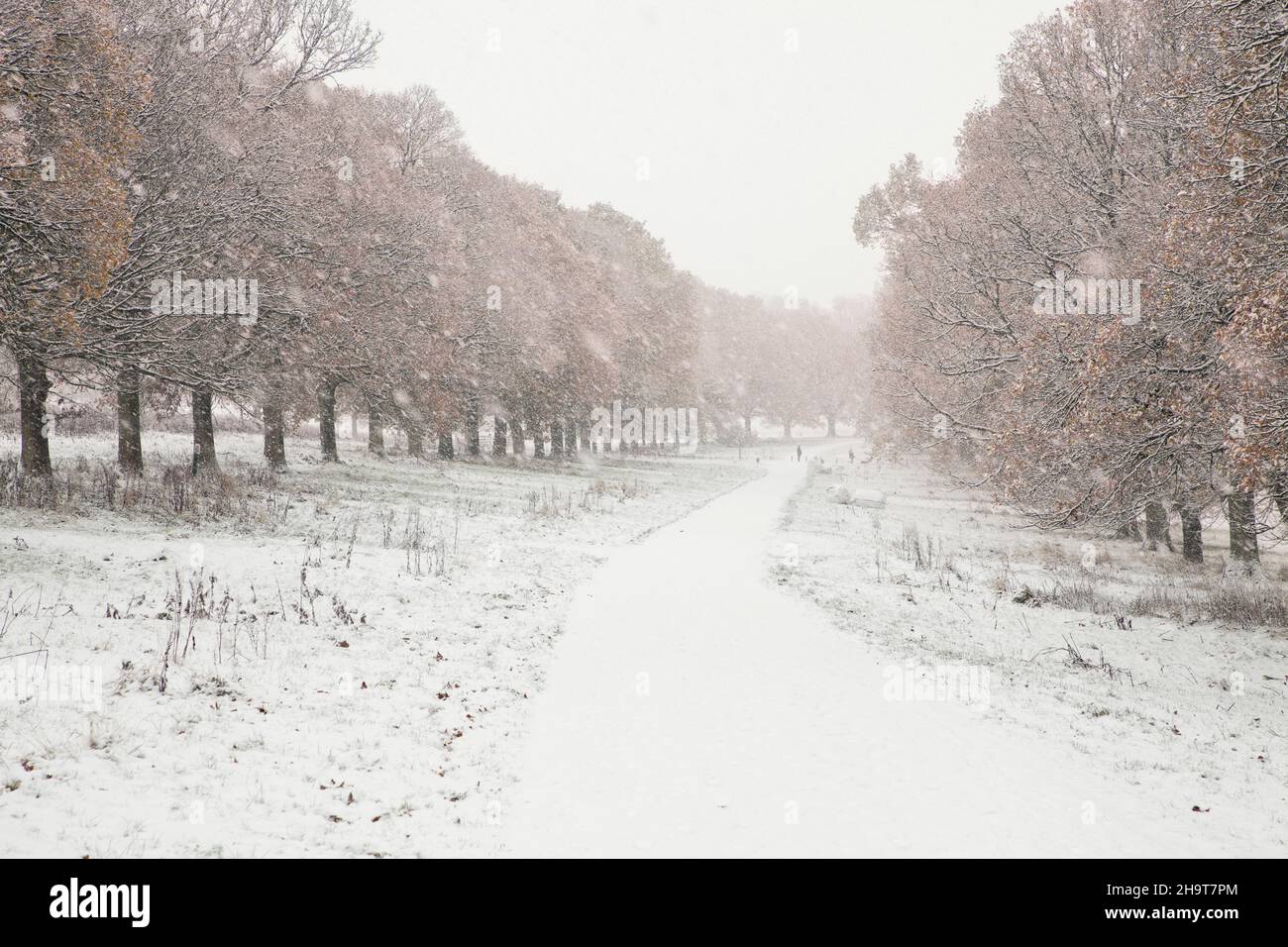 Un sentiero nel parco Lowther nel Lake District National Park in inverno Foto Stock