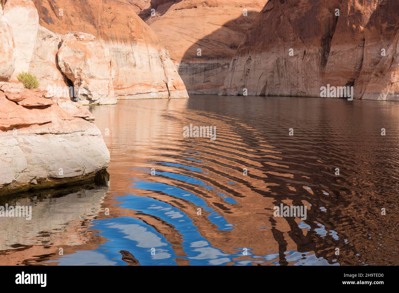 Glen Canyon National Recreation Area, Utah, USA. Le scogliere di arenaria si riflettono nelle acque ondulate del Bridge Canyon, un braccio stretto del lago Powell. Foto Stock