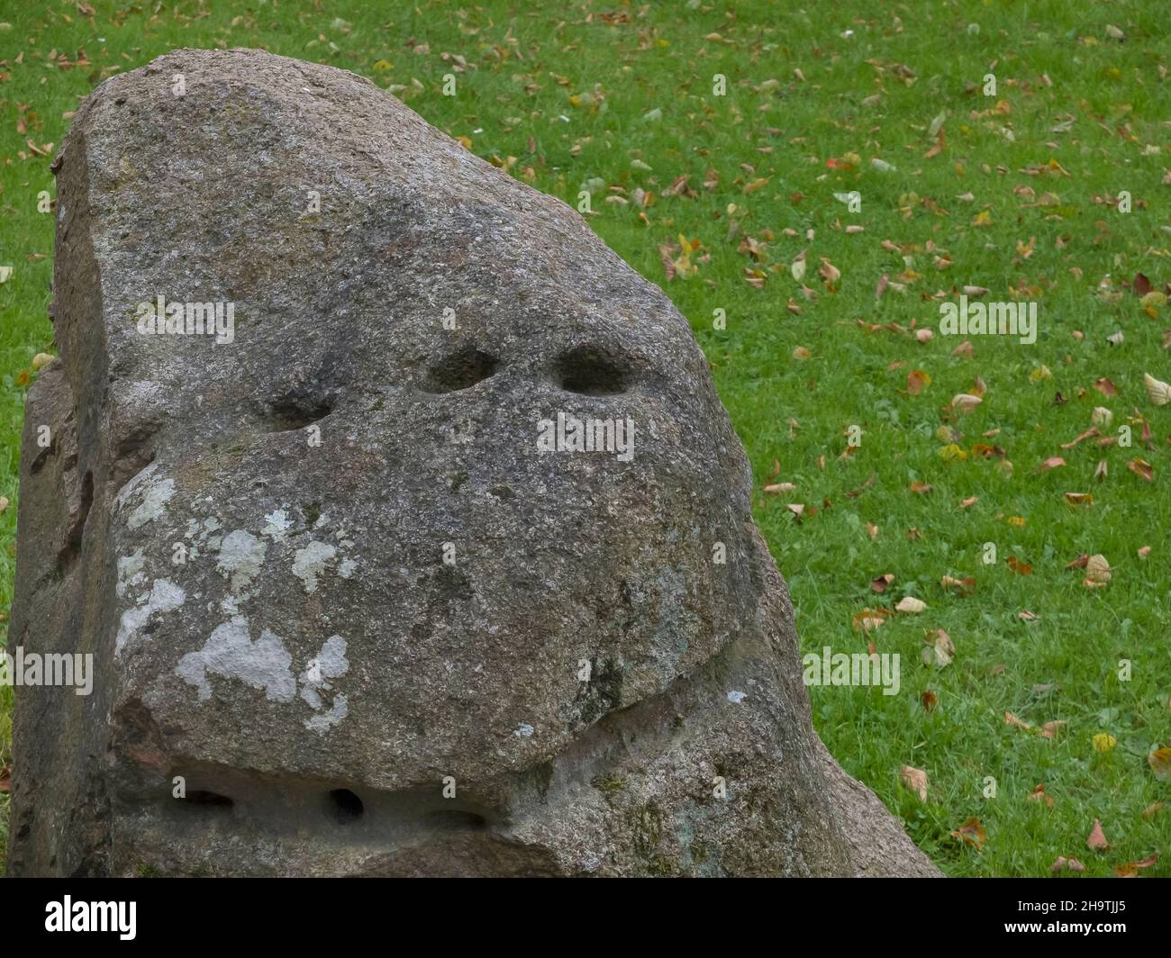 Rillenstein a Wellingsbuettel, usato come pietra di culto in epoca pre-cristiana, Site Duvenstedter Brook, Germania, Wellingsbuettel, Amburgo Foto Stock