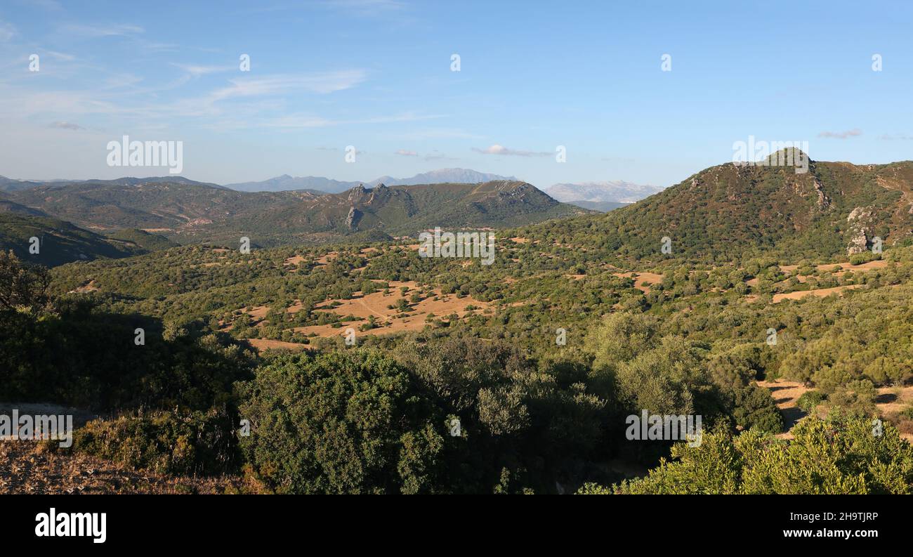 Paesaggio con querce da sughero, macchia e rocce, Spagna, Andalusia, Los Alcornocales Foto Stock