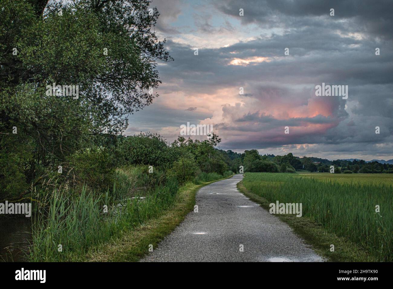 Atmosfera serale al Murnauer Moos, Germania, Baviera, Oberbayern, alta Baviera Foto Stock