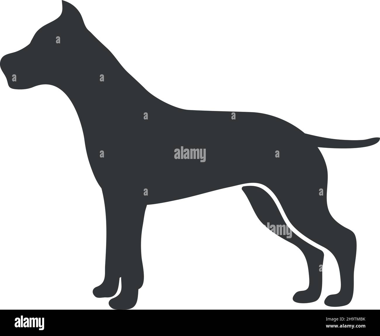Silhouette in terrier di Staffordshire. American Danger Fighting dog, icona vettoriale isolata su sfondo bianco Illustrazione Vettoriale