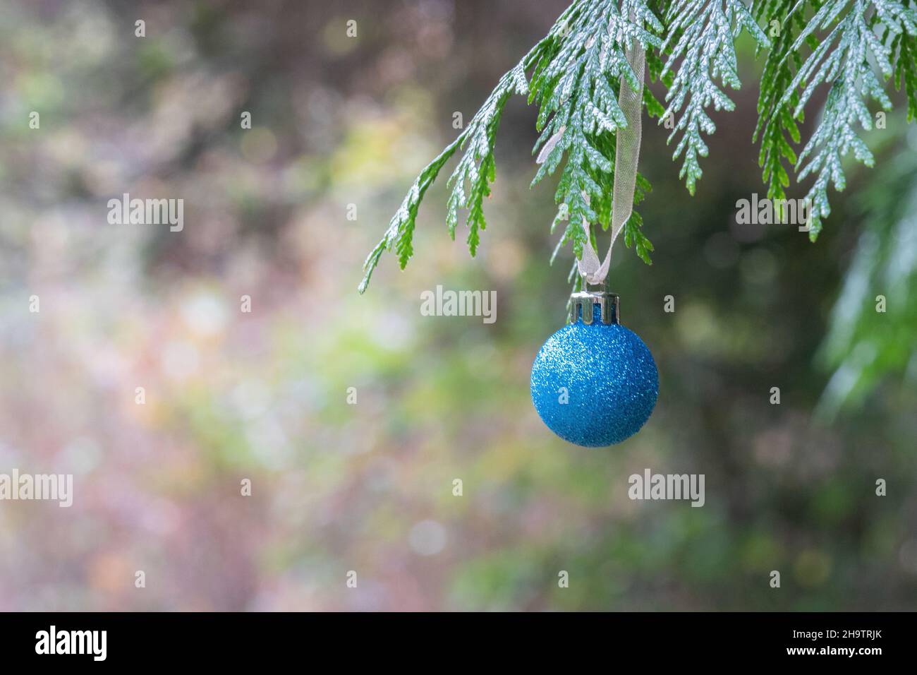 Decorazioni natalizie nel vecchio cimitero di Southampton Foto Stock
