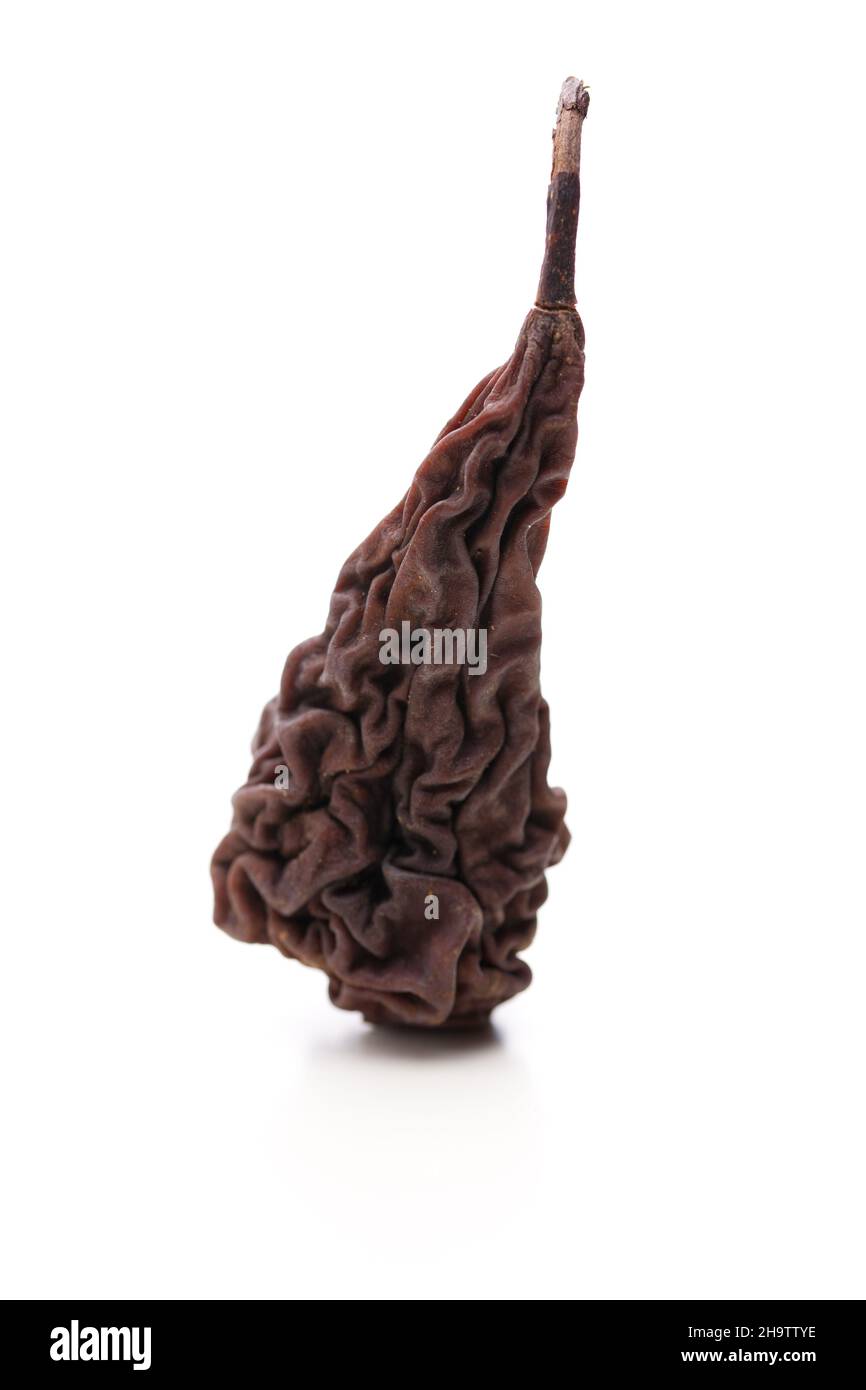 frutta secca, pera, pera secca, marrone, frutta, asciugi, asciugò, uno, solo, piegando, sfondo, cibo, tipico, tradizionale, sfondo bianco, bianco, dietro, Foto Stock
