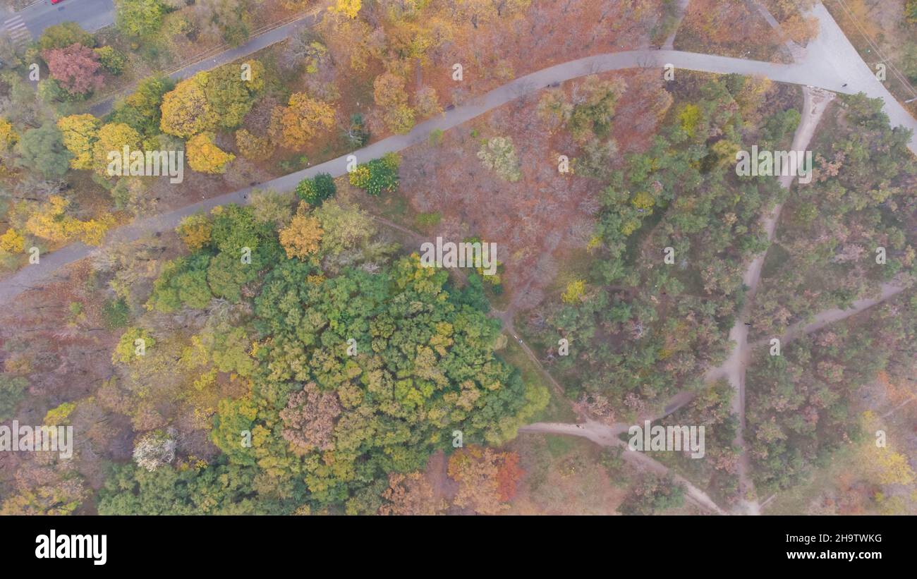 Sentieri e sentieri nel parco della città in autunno. Foglie caduta nel parco. Vista aerea. Foto Stock