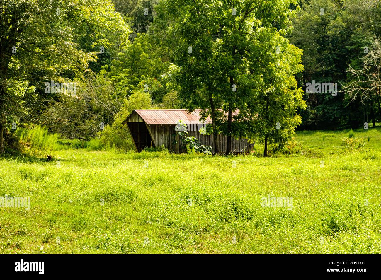 Covered Bridge, Cooley Woods Road, Cleveland, Georgia Foto Stock