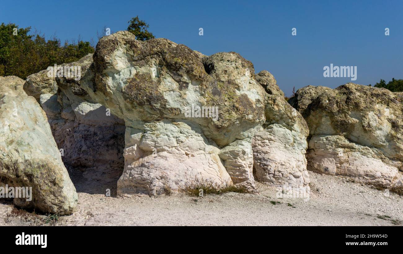 Funghi di pietra bianca naturale, destinazione turistica in Bulgaria Foto Stock