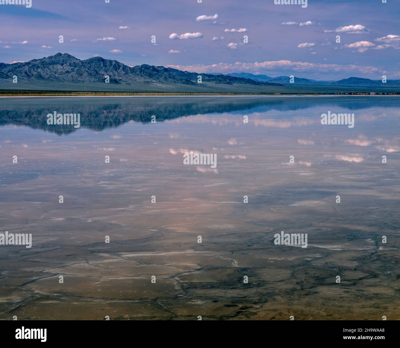 Bristol Lake, Mojave Desert, Amboy, California Foto Stock