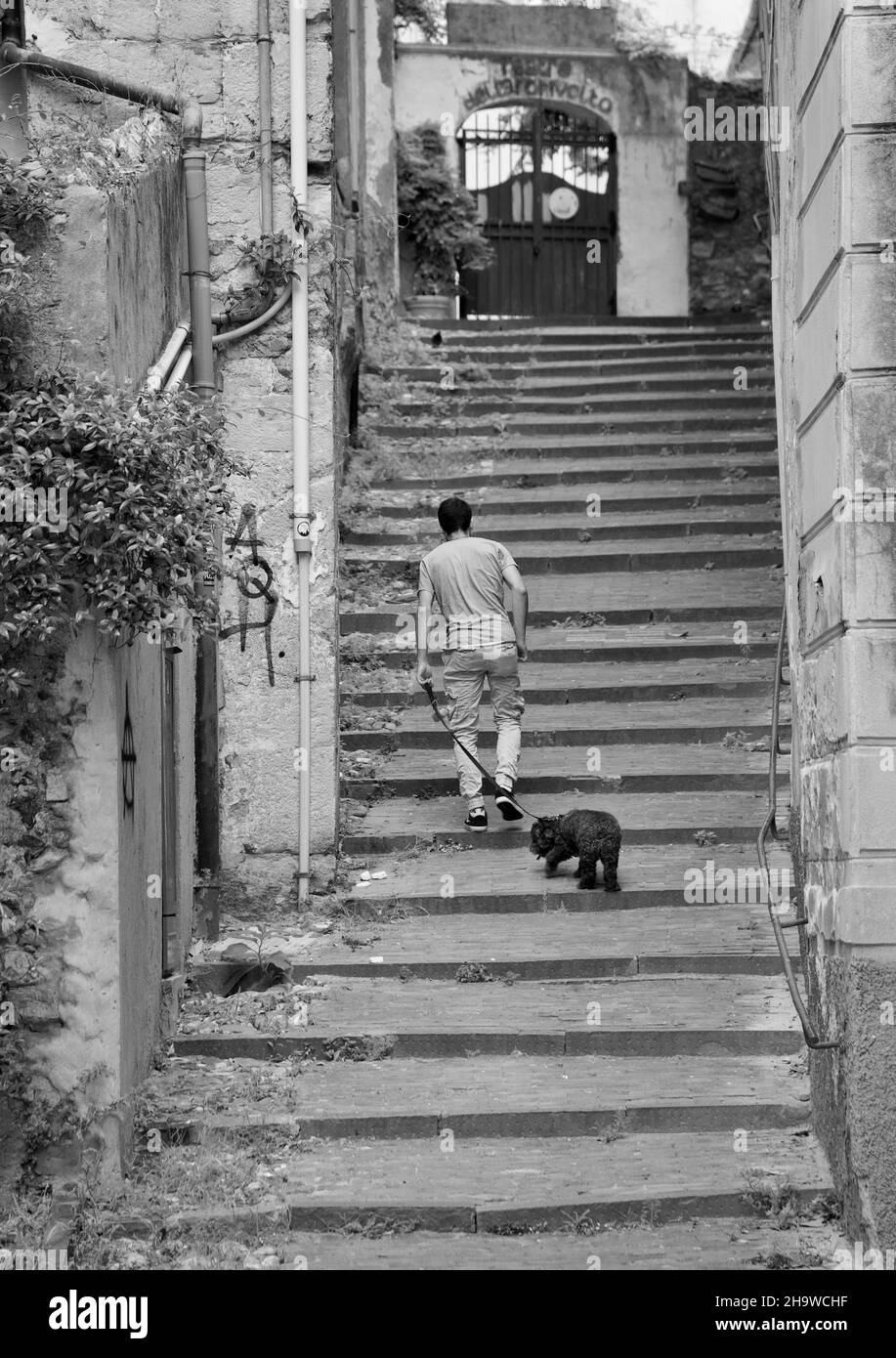 Vista posteriore verticale in scala di grigi di una persona che salirà le scale con un cane a Genova, Italia Foto Stock