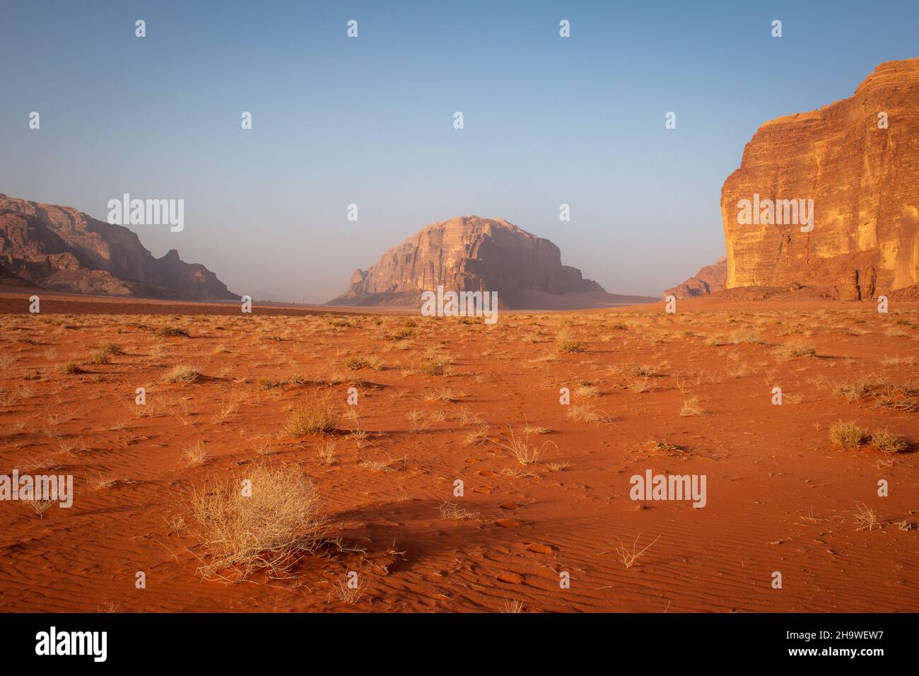 Escursioni nel deserto di Wadi Rum al tramonto, aprile, Giordania Foto Stock
