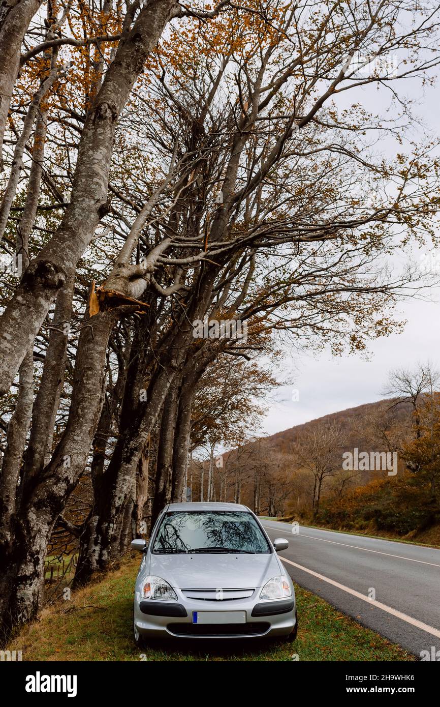 Auto parcheggiata in un luogo pericoloso. Tronco di albero rotto in procinto di cadere. Foto Stock