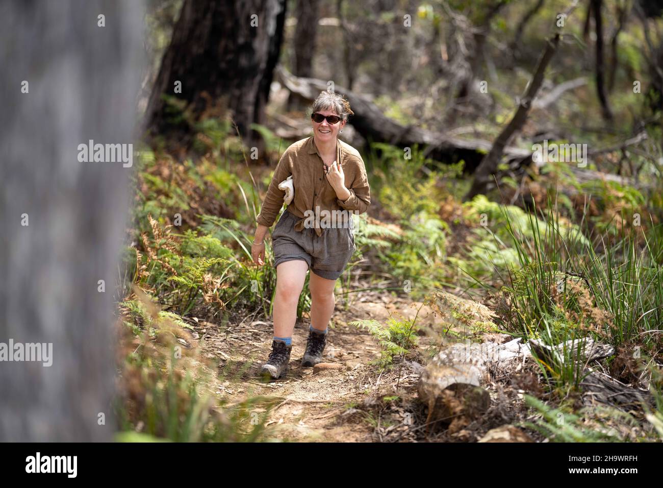 Piante native e fiori che crescono nel cespuglio in Australia Foto Stock