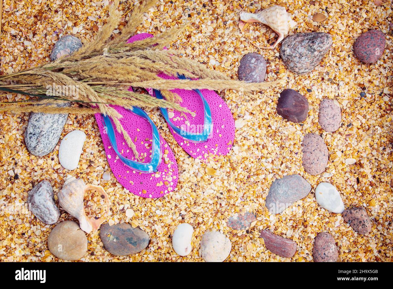 Scena della spiaggia. Un paio di sandali flip flop adagiati sulle conchiglie di cocquina in spiaggia. Concetto di vacanza Foto Stock