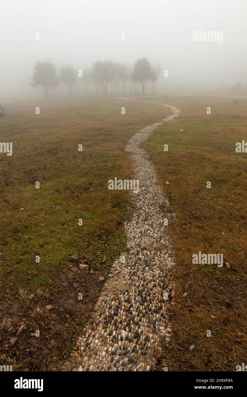 Gruppo di alberi nella nebbia. Sentiero ciottoli. Jiashan, Cina Foto Stock