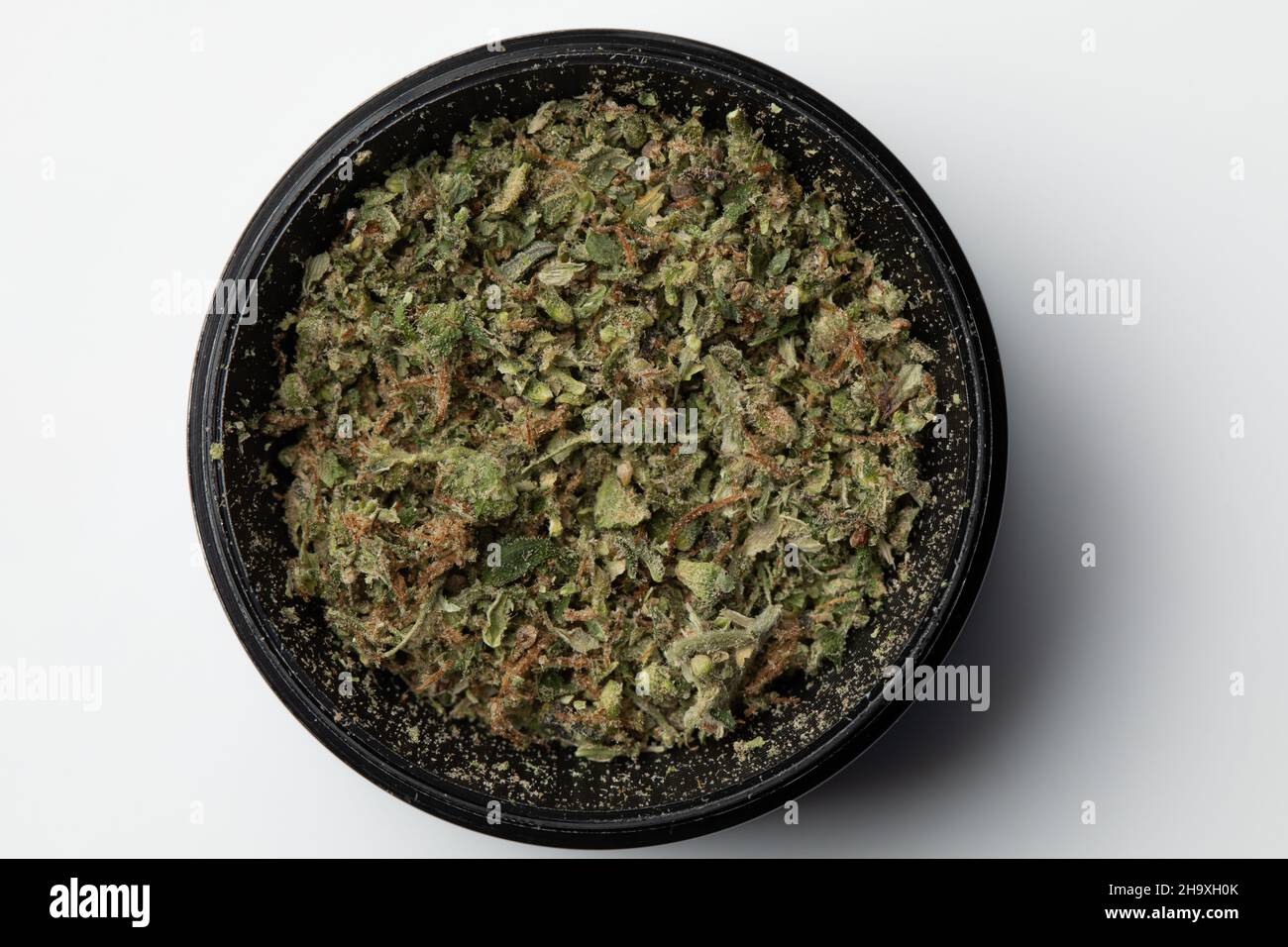 Macinacaffè con germogli schiacciati di marijuana erbaccia cannabis isolato, marijuana medica Foto Stock