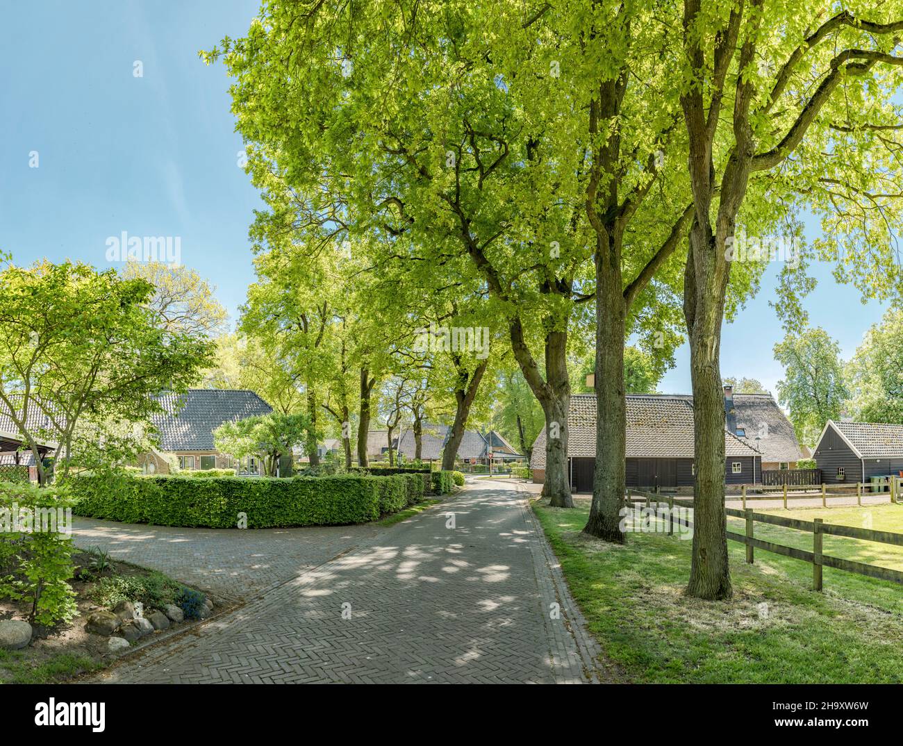 Agriturismi tra diversi alberi Foto Stock