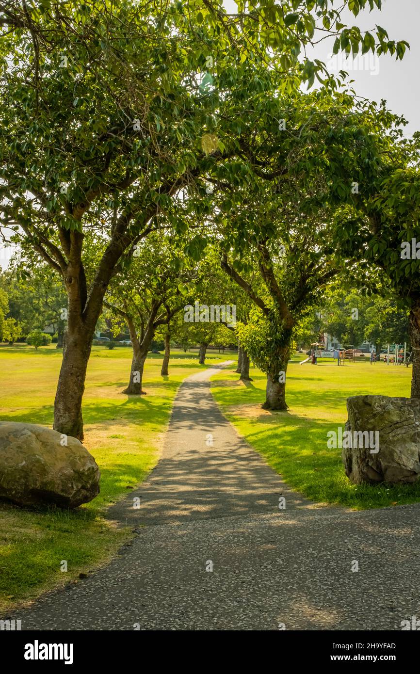 Un viale alberato che conduce attraverso il Lochside Park a Carlingwark Loch, Castle Douglas, Scozia Foto Stock