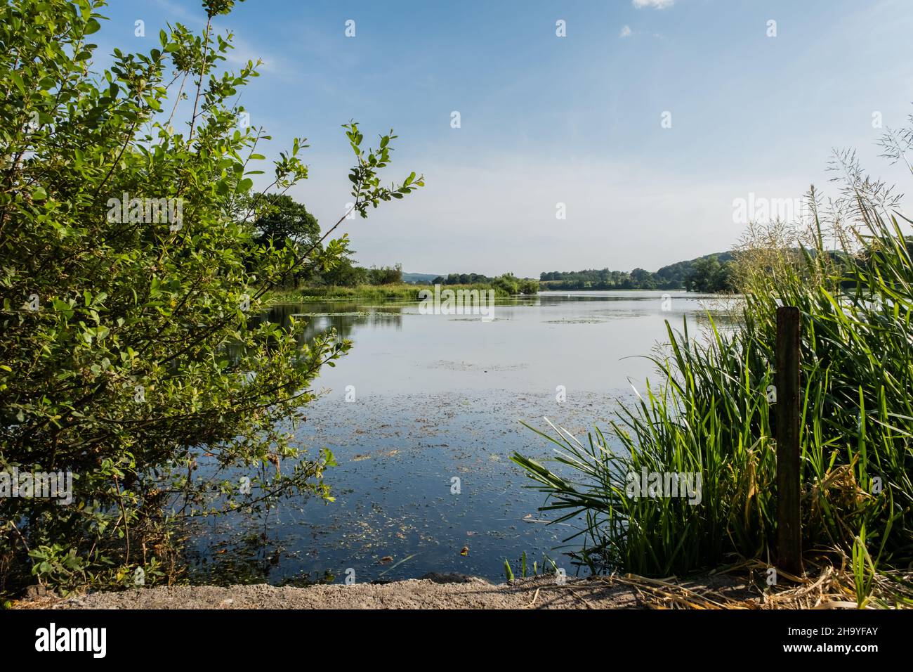 Carlingwark Loch a Castle Douglas in una giornata estiva in Scozia Foto Stock