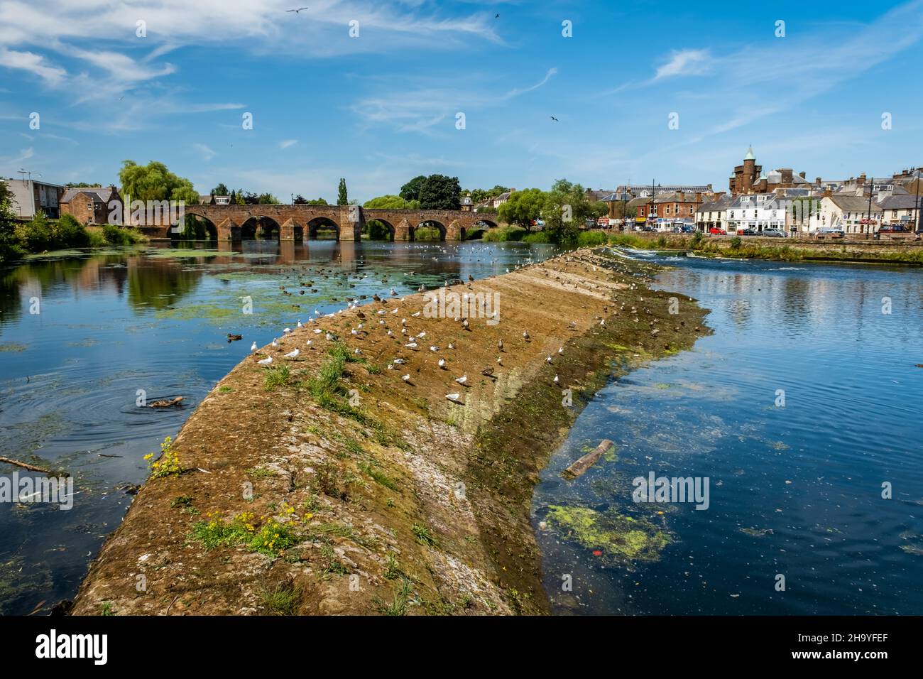 Acqua bassa e uno stramazzo di caul secco durante una siccità estiva sul fiume Nith nel centro di Dumfries, Scozia Foto Stock
