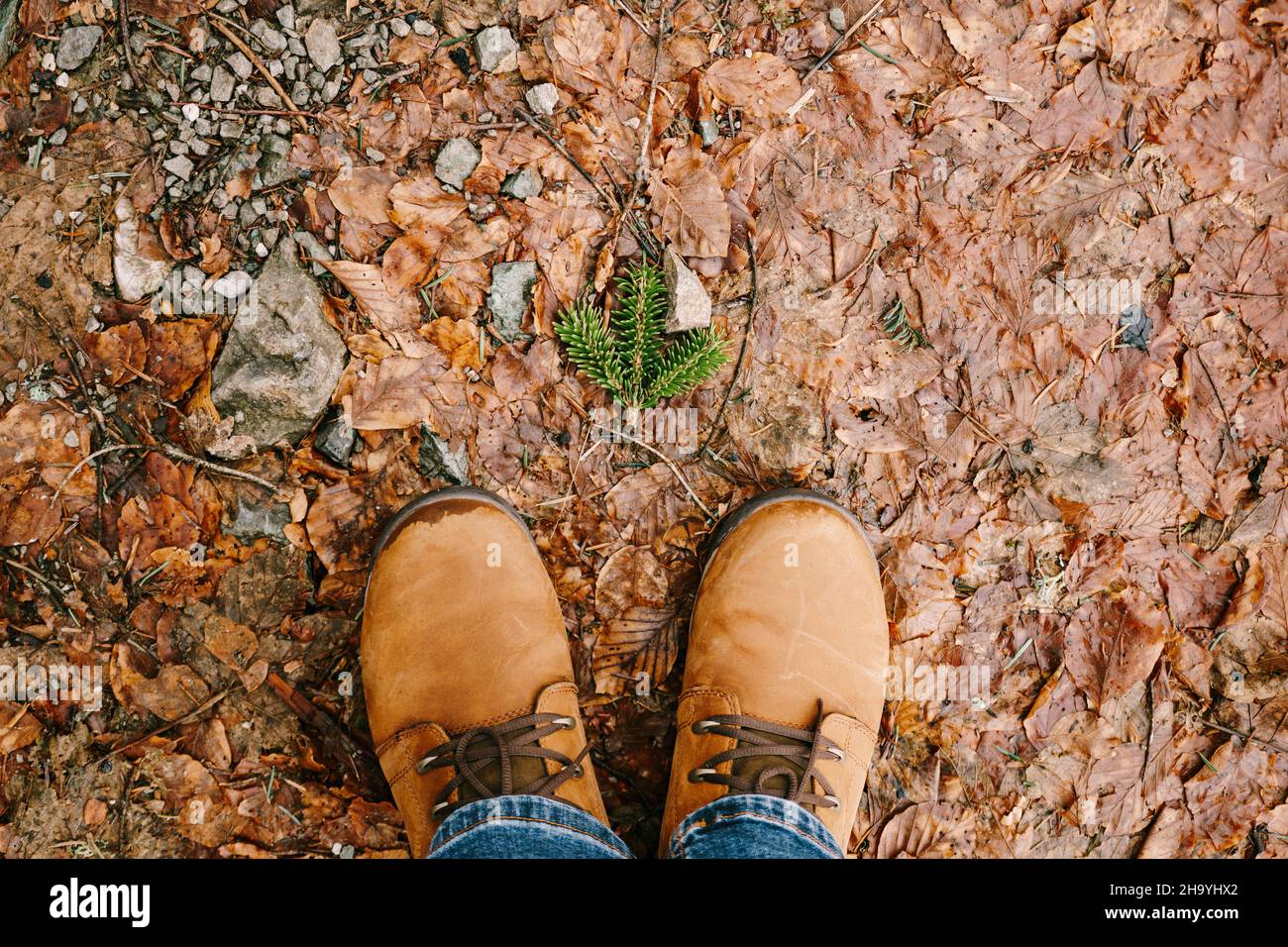 I piedi maschi in scarpe marroni si alzano a terra ricoperti di foglie cadute. Primo piano Foto Stock