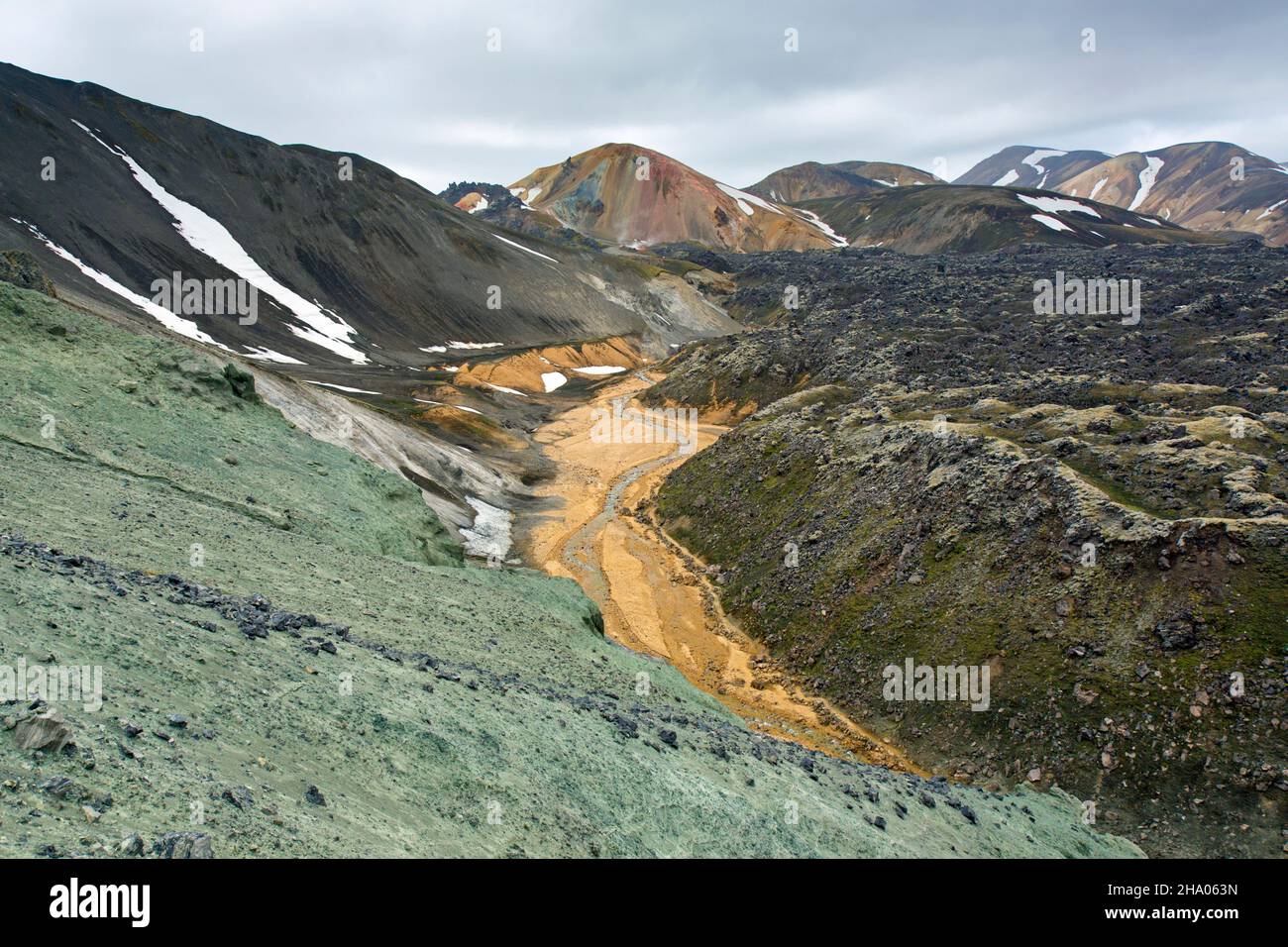 Rame verde esposto nel canyon di Graenagil a Landmannalaugar nella Riserva Naturale di Fjallabak, Sudurland nelle Highlands dell'Islanda Foto Stock