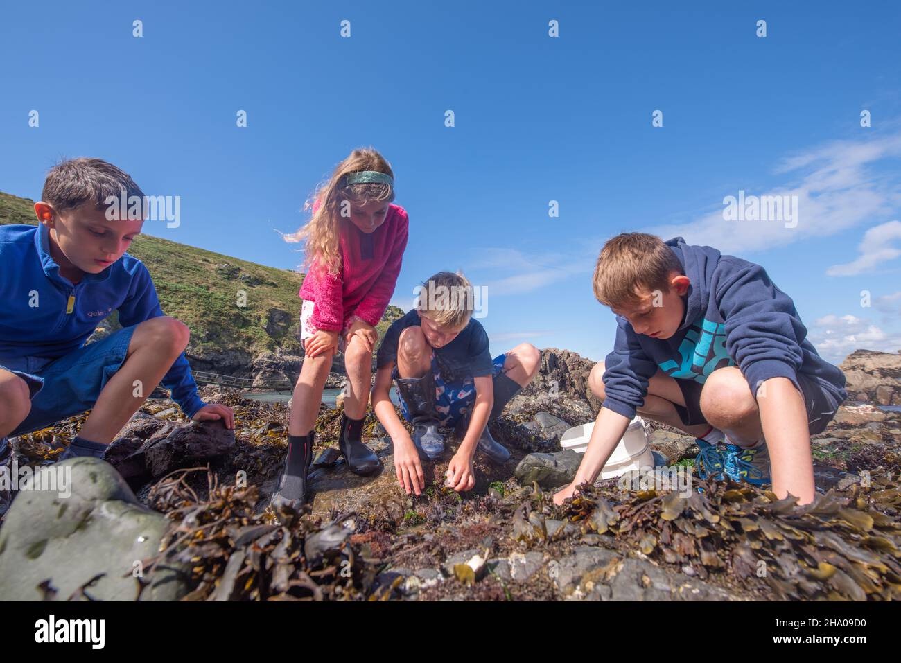 Bambini che esplorano il litorale Foto Stock