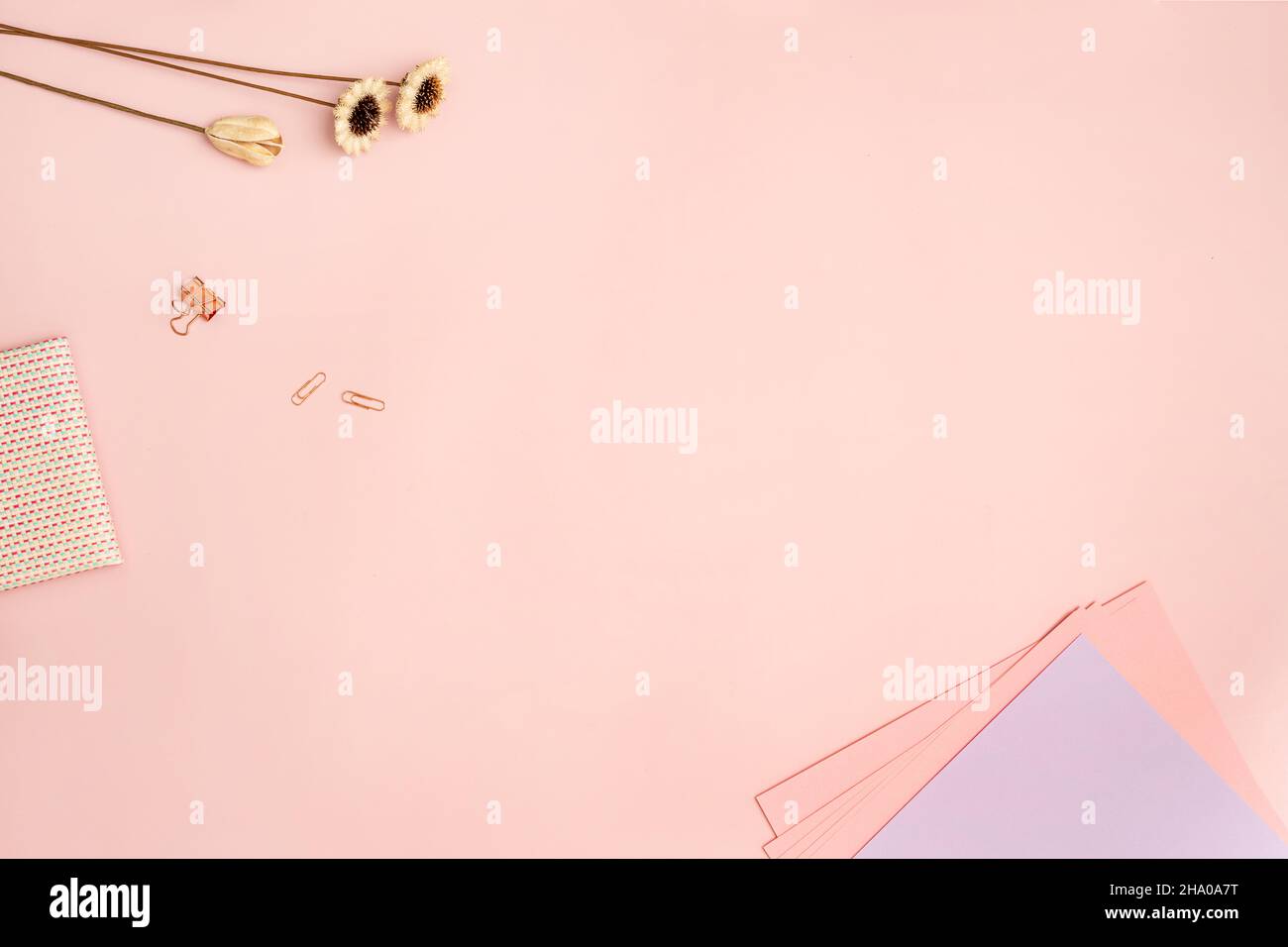 rosa pastello vita morta con carte, notepad, clip rosa e fiori dainty Foto Stock