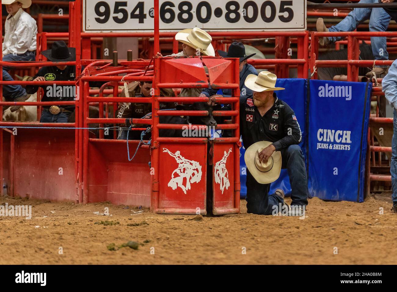 Cravatta-giù Roping visto sulla Southeastern Circuit Finals Rodeo durante l'evento. Foto Stock