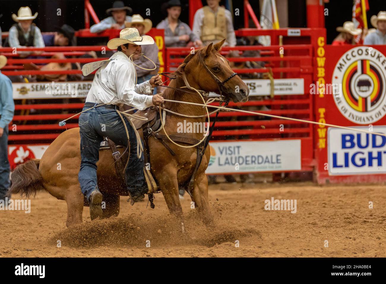 Cravatta-giù Roping visto sulla Southeastern Circuit Finals Rodeo durante l'evento. Foto Stock