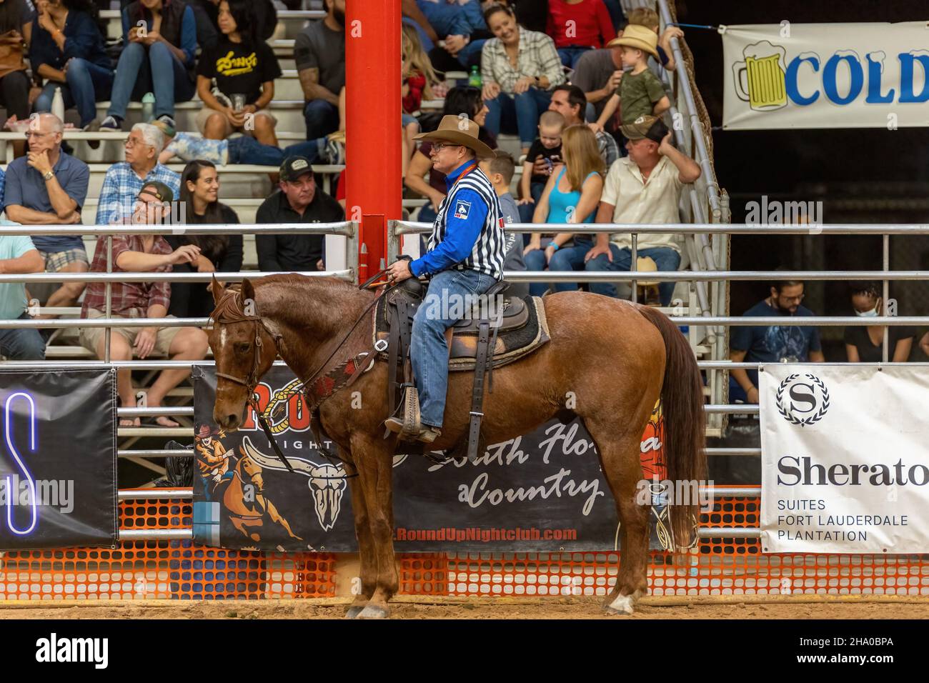 Cravatta-giù Roping visto sulla Southeastern Circuit Finals Rodeo durante l'evento. Foto Stock