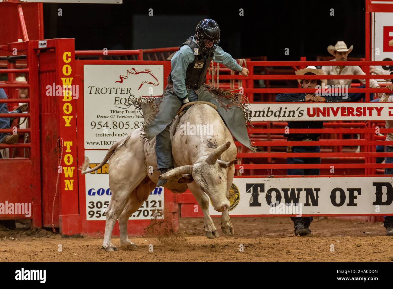 Bull Riding visto sulla Southeastern Circuit Finals Rodeo durante l'evento. Foto Stock