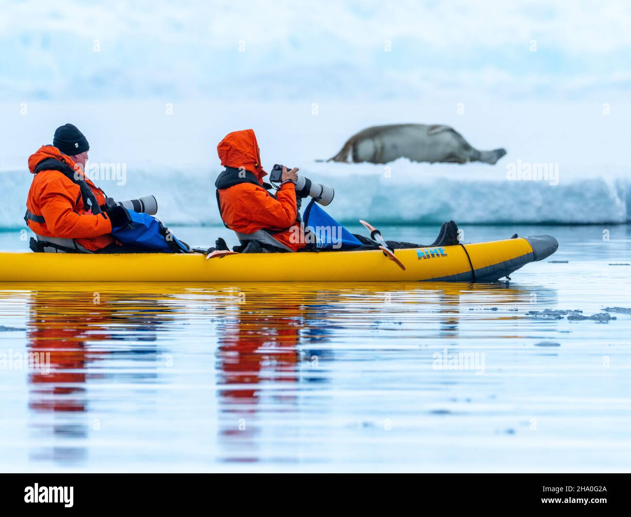 Kayak in mare nella Baia di Wilhelmina lungo la Penisola Antartica Foto Stock