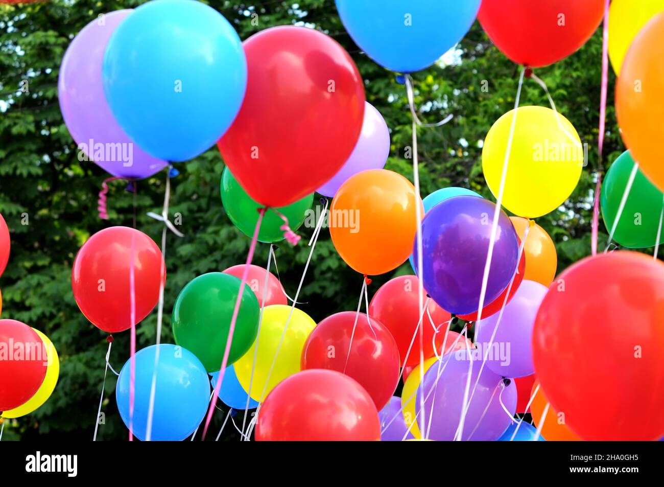 mazzo di palloncini multicolore nel festival della città contro gli alberi sfondo Foto Stock
