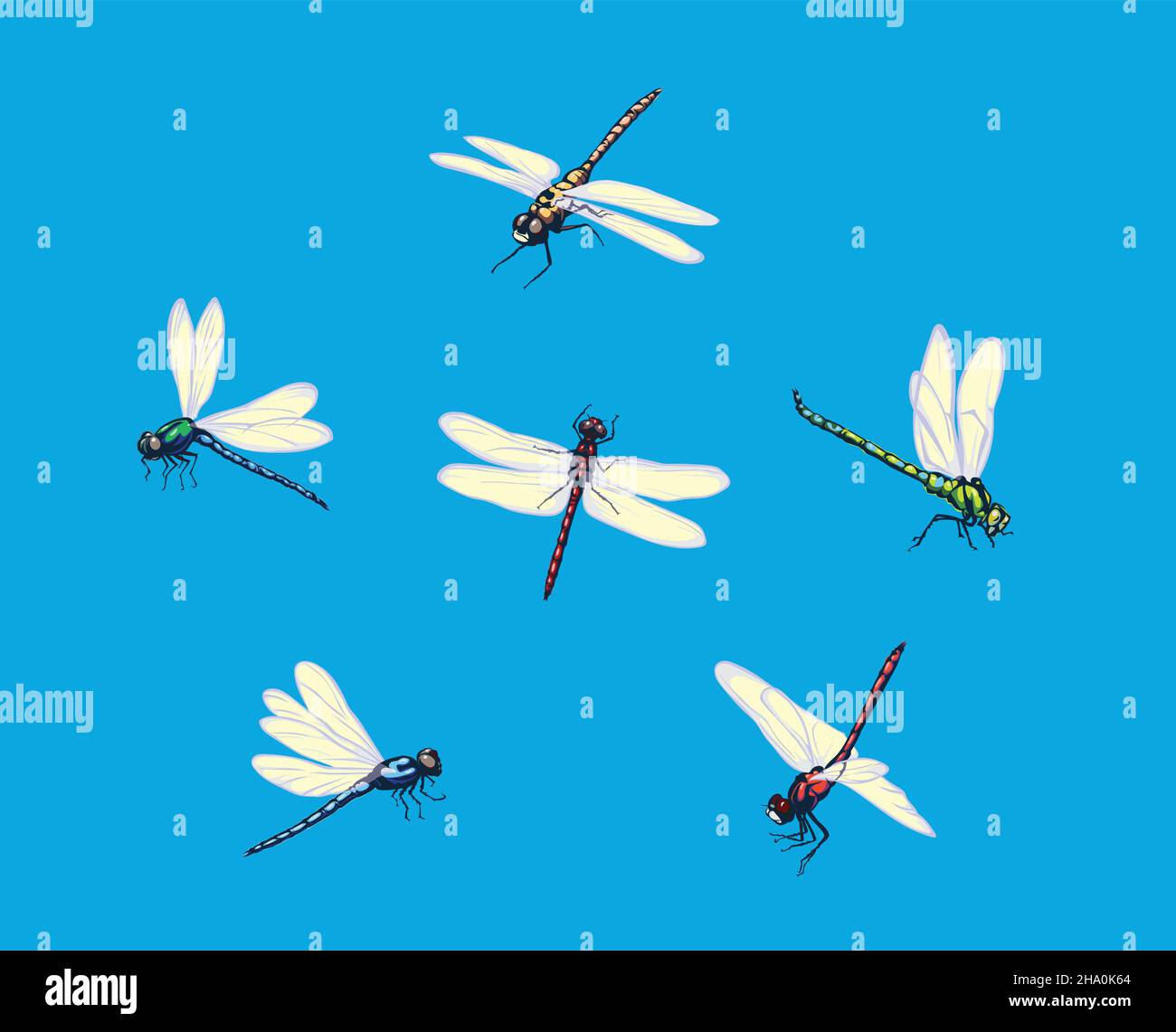 Dragonfly, immagine vettoriale di libellule, libellule volanti, illustrazione vettoriale per l'uso in loghi, segni, marchi, per design e pubblicità, colore Illustrazione Vettoriale