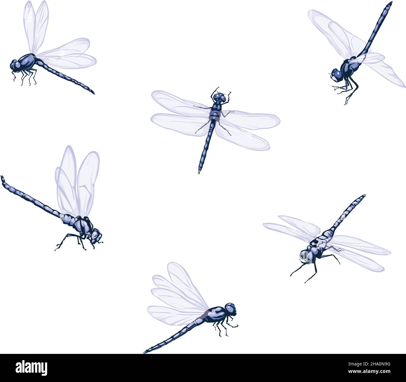 Dragonfly, immagine vettoriale di libellule, libellule volanti, illustrazione vettoriale per l'uso in loghi, segni, marchi, per design e pubblicità, colore Illustrazione Vettoriale