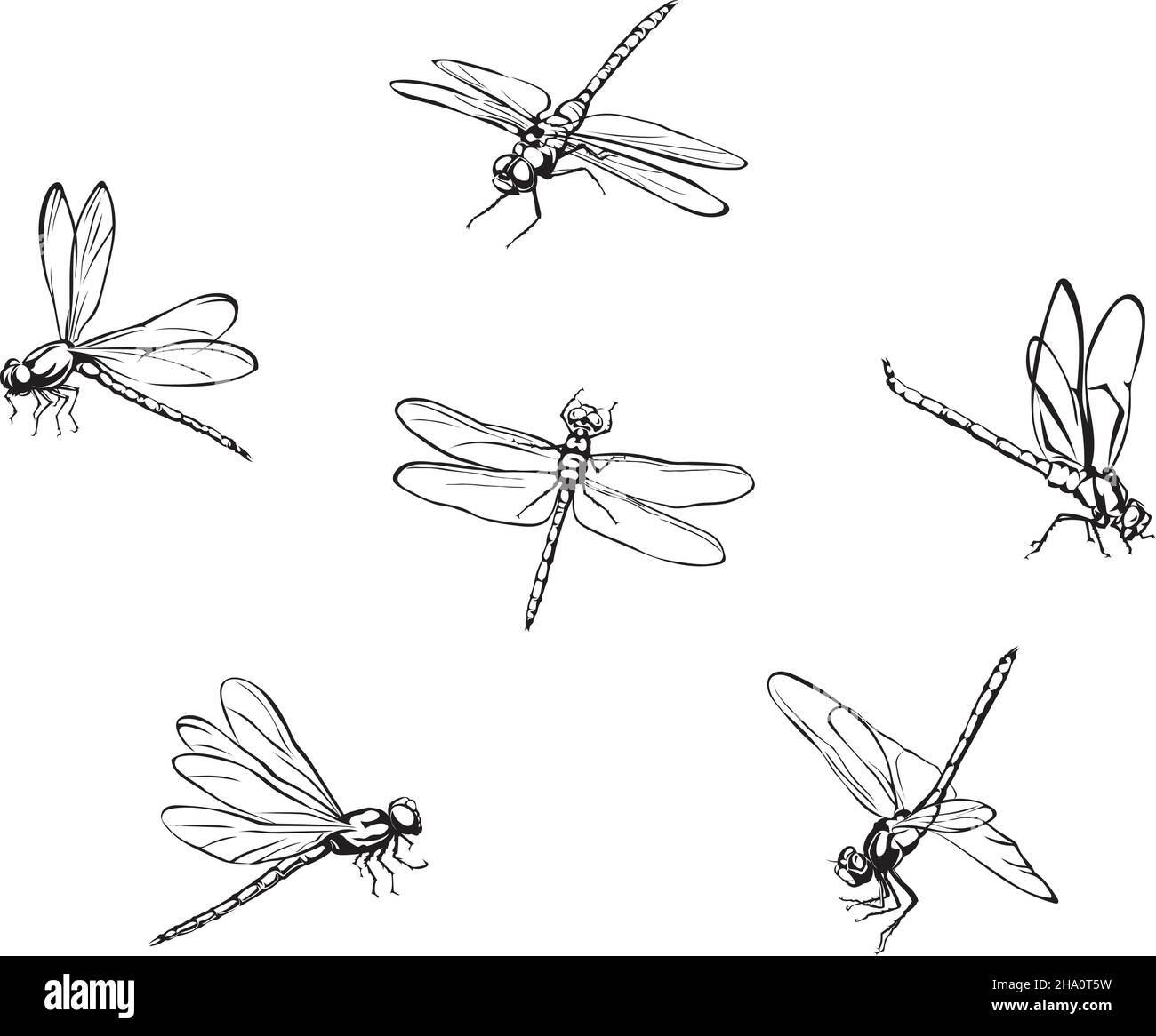 Dragonfly, immagine vettoriale di libellule, libellule volanti, illustrazione vettoriale per l'uso in loghi, segni, marchi, per design e pubblicità, colore Illustrazione Vettoriale