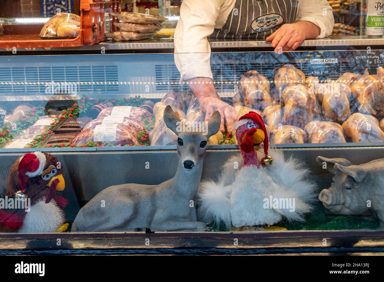 Vetrata in un macellaio a Natale con fagiani in vendita e graziose decorazioni animali di Natale, Alresford, Hampshire, Inghilterra, Regno Unito Foto Stock