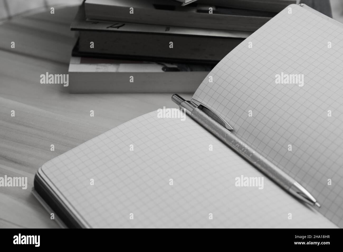 Primo piano di un notebook o diario per le note con i fogli vuoti con una penna e alcuni libri sullo sfondo Foto Stock Primo piano di un notebook o diario per le note con i fogli vuoti con una penna e alcuni libri sullo sfondo Foto Stock