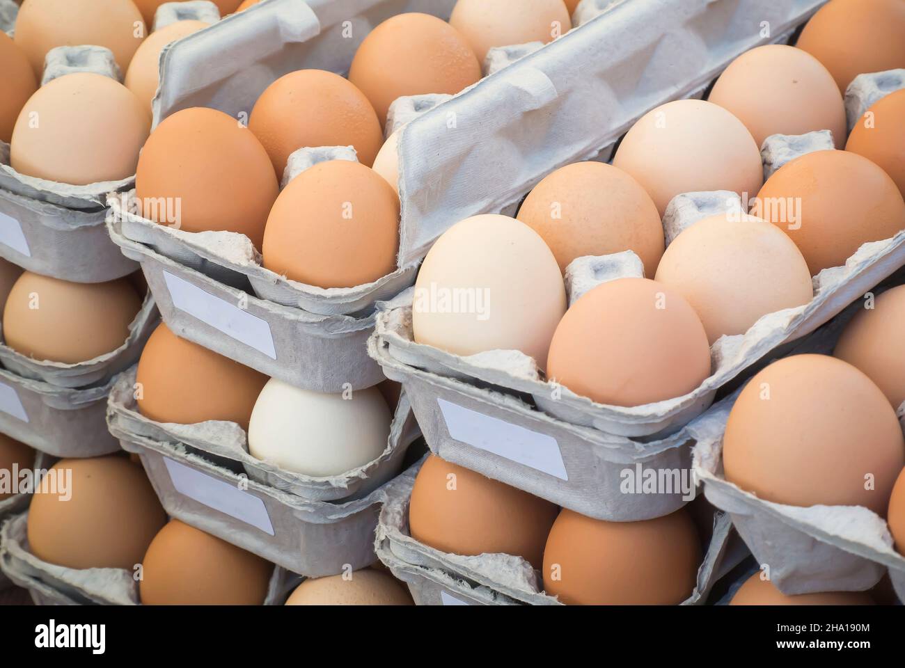 Uova fresche in cartoni impilati Foto Stock