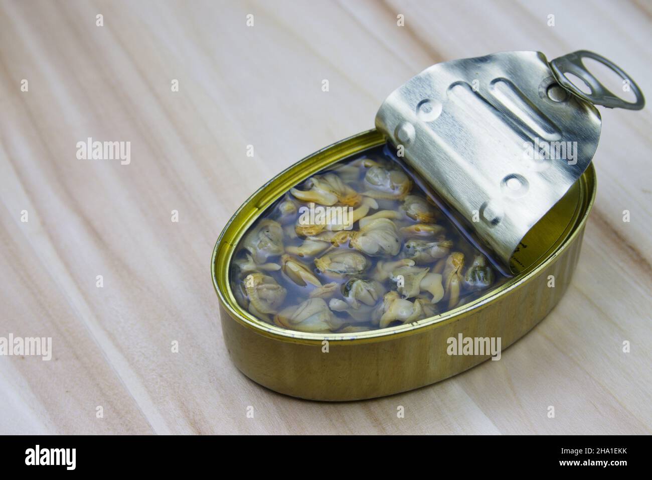 Primo piano da sopra di una lattine con scarafaggi isolati su un tavolo di legno Foto Stock