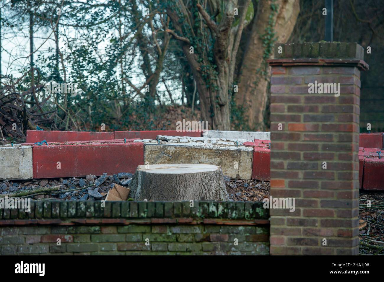 Wendover, Regno Unito. 9th dicembre 2021. Gli alberi sono stati abbattuti entro il HS2 all'ingresso dell'ex Road Barn Farm. HS2 Ltd hanno ora liberato il campo DI GUERRA di resistenza attiva di Wendover dove gli attivisti anti HS2 hanno vissuto per circa due anni e di fronte al campo precedente si stanno preparando a costruire un enorme composto HS2 dove una fabbrica di bentonite sarà situata. Gli abitanti di Wendover sono furiosi per l'impatto che HS2 sta avendo sulla campagna e habitat di fauna selvatica nella graziosa cittadina di mercato. La controversa ferrovia ad alta velocità 2 è estremamente sovraccarica e la parte orientale del progetto è stata recentemente annullata. Credito: M Foto Stock