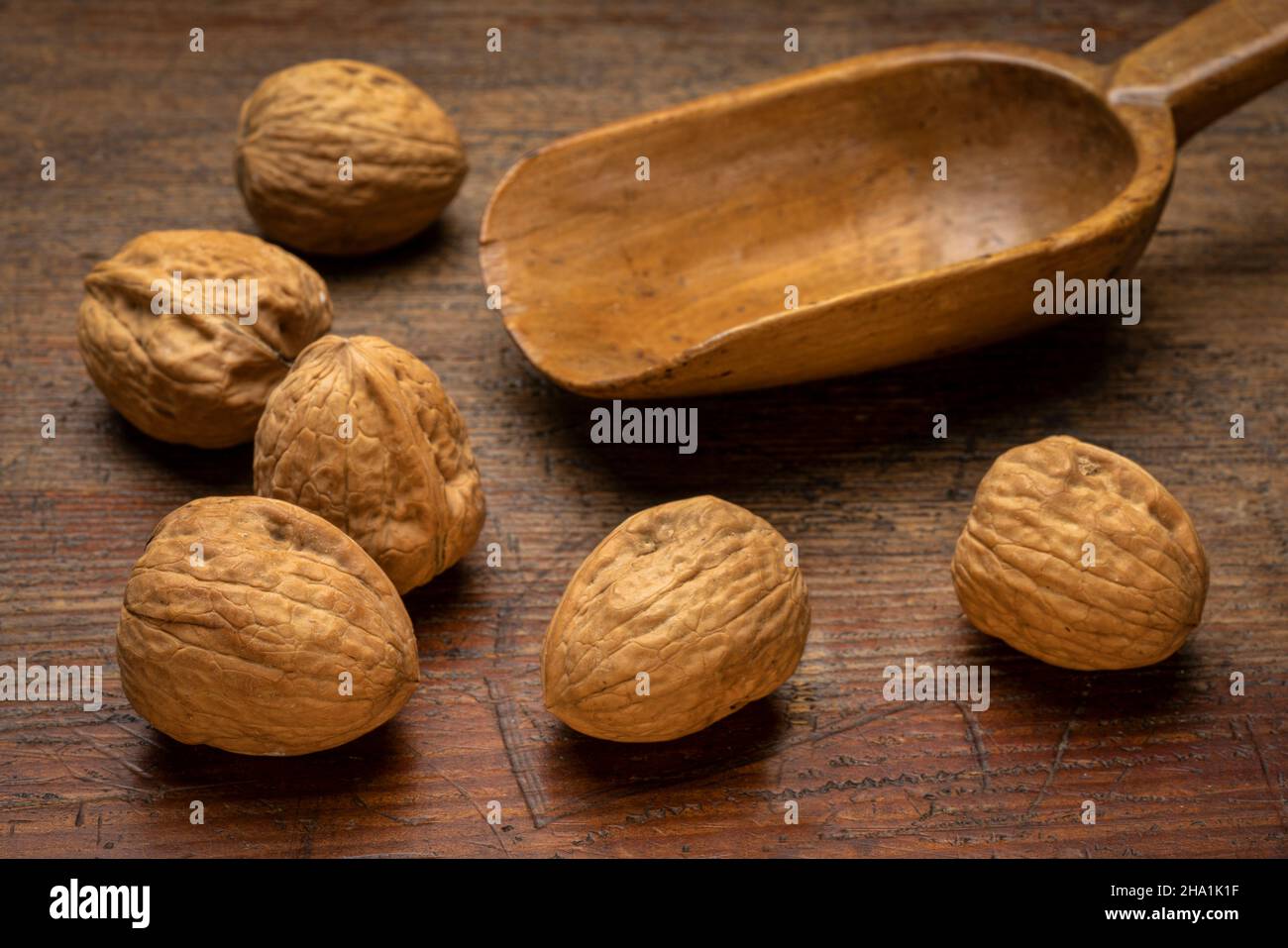 Noci inglesi e un rustico cucchiaio di legno contro grunge superficie di legno intemperato Foto Stock