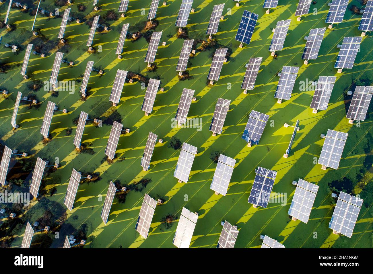 HUAI'AN, CINA - 5 DICEMBRE 2021 - una foto aerea scattata il 5 dicembre 2021 mostra l'energia solare fotovoltaica di un sistema di tracciamento automatico in T. Foto Stock