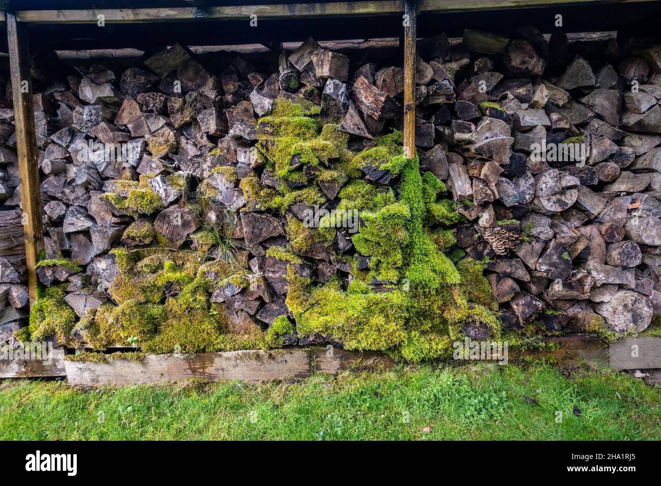 Capanna di legno da giardino, negozio Foto Stock