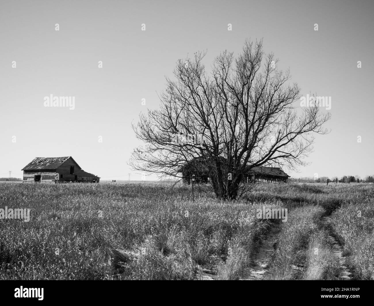 AIRDRIE, CANADA - Nov 17, 2021: Una vista in scala di grigi dei paesaggi rurali in Airdrie, Canada Foto Stock