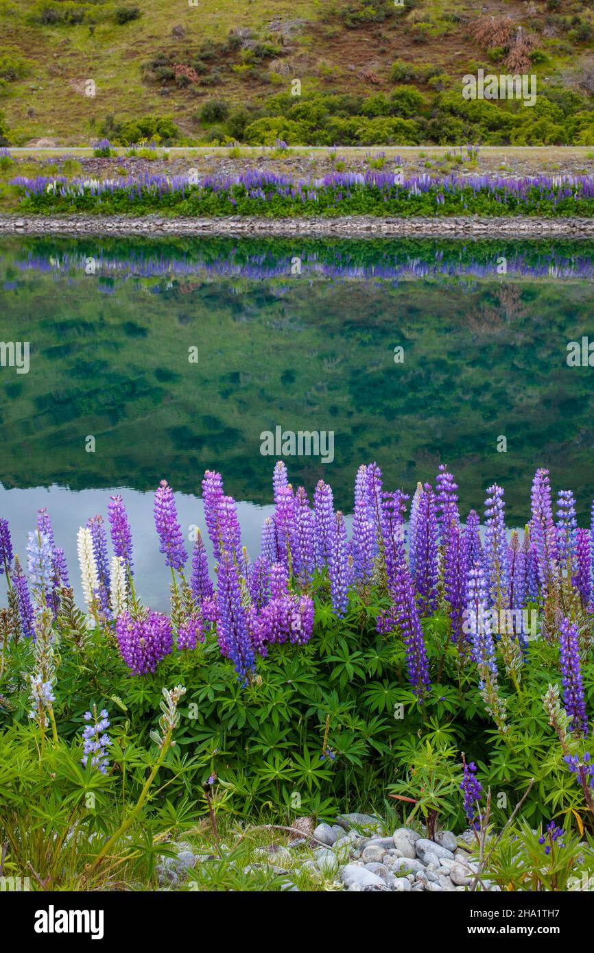 Bellissimo paesaggio intorno a Twizel, Isola del Sud, Nuova Zelanda Foto Stock